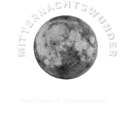 Voller Mond mit Kratern, umgeben von dem Text "Mitternachtswunder".