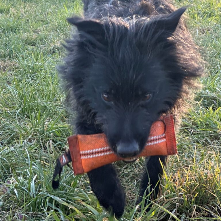 Mia mit Spaß bei der Arbeit